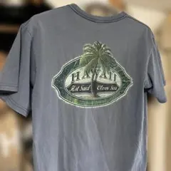 anvilアンビル・ハワイデザインプリントTシャツ・ブルーグレー・Mサイズ