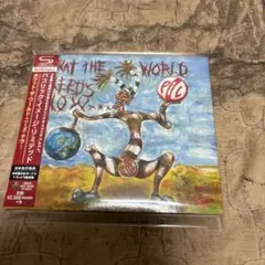 ホワット・ザ・ワールド・ニーズ・ナウ… public image Ltd
