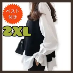【セット商品】ニットベスト & ブラウスレイヤード ニット トップス 2点セット