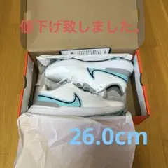 ナイキゴルフシューズ INFINITY PRO2 26.0cm