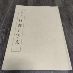 趙子昂墨 名筆三十撰墨第19号 趙子昂墨 名筆三十撰墨第19号 書