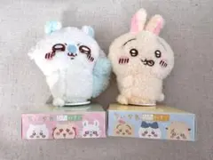 Item thumbnail for item cff21329-4432-4ae4-8be1-c1a2d7f294ef