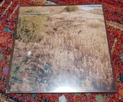 【未開封】Laura day romance「roman candles」 Laura Day Romance – Roman Candles | 憧憬蝋燭 – Vinyl (LP