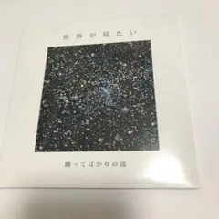 踊ってばかりの国 「世界が見たい」