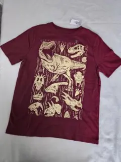 【GAP KIDS】恐竜デザイン Tシャツ 130 cm M(8)