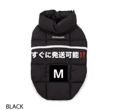 Item thumbnail for item 875aa30b-e957-4114-a822-0761c026c61a