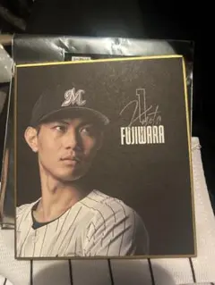 千葉ロッテマリーンズ 藤原恭大 ミニ色紙