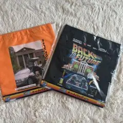 Item thumbnail for item 8b2f4599-5576-49fa-b0eb-e7074152bb2f