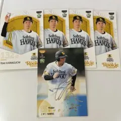 庄子雄大　50シリ 川口冬弥　カードセット　BBM 2025 ルーキー