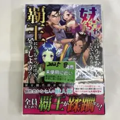 L-0 妹ちゃんの言うとおりにしていたら覇王になっちゃったけど、どうしよう? 2