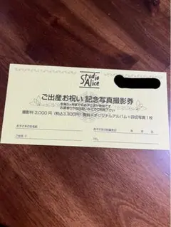 スタジオアリス ご出産お祝い記念写真撮影券 撮影無料券