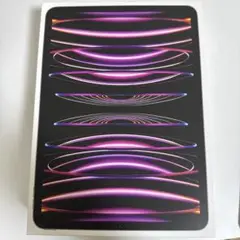 iPad Pro 第4世代　256GB Wi-Fiモデル