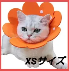 Item thumbnail for item a3589b3f-5240-4fd5-9b8d-db837940dd3f