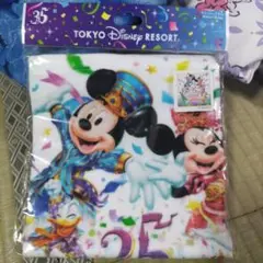 ディズニー　ウォッシュタオル