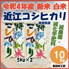 新米 近江 コシヒカリ 10kg 白米 10キロ 数量・期間限定 SK1
