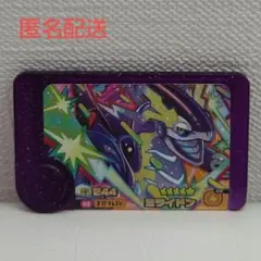 ポケモンフレンダ フレンダピック ミライドン スーパートレジャー