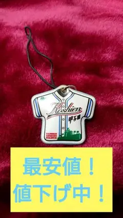 甲子園 夏の甲子園 ストラップ 高校野球 第90回記念大会 記念品 1点