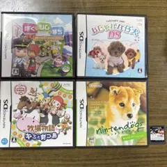 ニンテンドーDS ゲーム5本セット