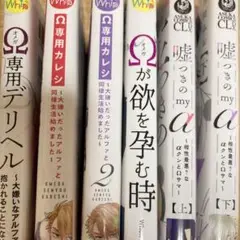 藤間みお　6冊セット　シリーズ既刊全巻