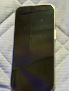 ジャンク品 Apple iPhone 16Pro本体【電源入らない】