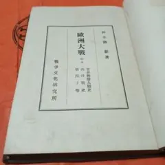 欧州大戦 中巻 仲小路彰著
