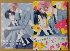 【君はなんにもわかってない! 】アニメイト4Pリーフレット付き