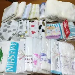 Item thumbnail for item 50ab32dd-8c5a-42c0-bcfe-94a585636e33