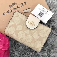 Item thumbnail for item 50a36de6-9002-450d-be95-cadf5bbcd5c9