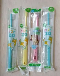 タフト20 歯ブラシ Mサイズ 3本セット