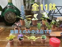 Item thumbnail for item fc775758-8387-4c4f-85de-6eebba8f94ef