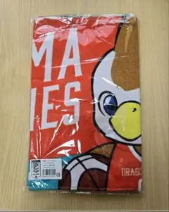 値下げしました！広島ドラゴンフライズ グッズ４点セット