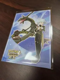 ポケモンマスターズEX × まねきねこ ポストカード ダイゴ