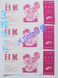 第9回 日展 チケット3枚セット 招待券