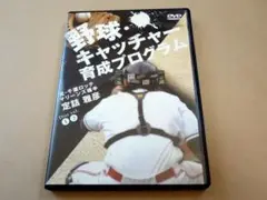 美品 2018年◆千葉ロッテマリーンズ捕手『定詰雅彦 45』直筆サイン入りバット 美品 2018年◇千葉ロッテマリーンズ捕手『定詰雅彦 45』直筆