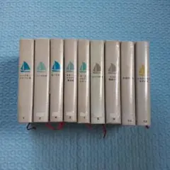 ツバメ号とアマゾン号