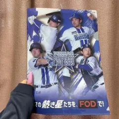 DeNAベイスターズ