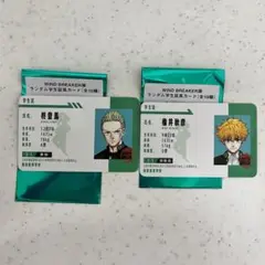 WIND BREAKER 2枚セット