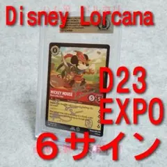2025年最新】D23 lorcanaの人気アイテム - メルカリ