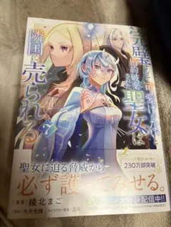 完璧すぎて可愛げがないと婚約破棄された聖女は隣国に売られる 7