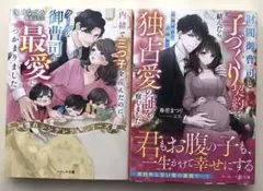 ベリーズ文庫、マーマレード文庫　2冊セット