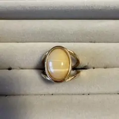 Item thumbnail for item 2617f5e0-8b14-4a35-8e54-3abfa0298e29