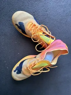 PumaEVOSPEED DISTANSE NITRO ELITE +