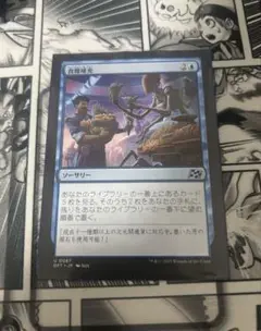 MTG 食糧補充
