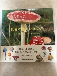 世界の美しいきのこ