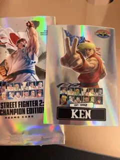 PSAマガジン2025 付録 KEN Silver トレーディングカード