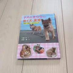 子犬のきららと捨て犬・未来
