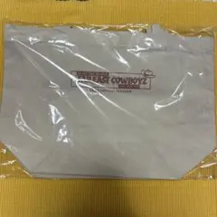 EXILE THE SECOND キャンバスミニバック