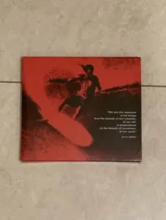MORNING OF THE EARTH surf dvd