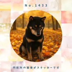 Item thumbnail for item 64469679-607d-4d23-b419-a0190d65064f