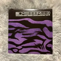 Kyoto Jazz Massive Crossbreed 2